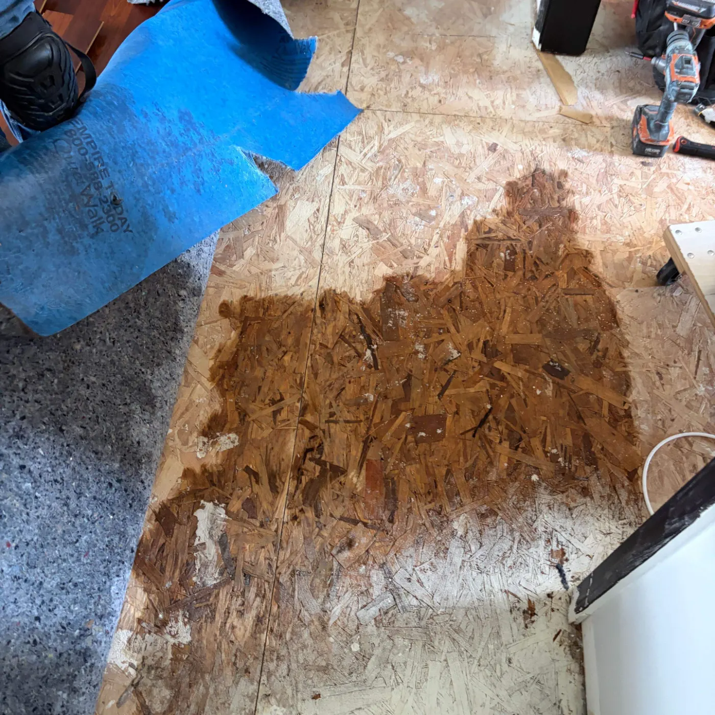 Thermal imaging during water damage assessment in Lantern Lakes residence