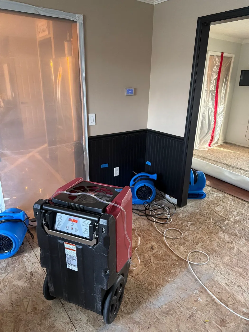 DIY Water Damage Cleanup in Lantern Lakes: Why Pros Matter
